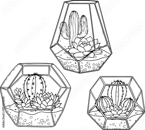 Set of 3 geometric terrarium cactus illustrations vector
