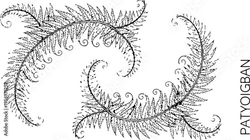 Set of 2 black fern leaf illustrations vector