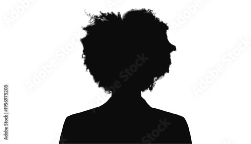 Silhouette of an individual with curly hair stands centered, representing diversity in professional.