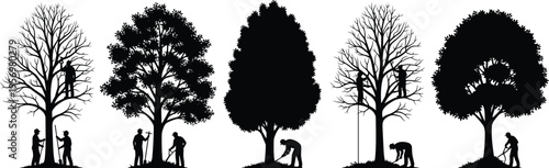 Silhouettes of people planting and tending to trees in a sequence of growth stages