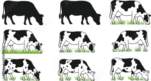 cow grazing set, dairy cattle collection, farm animal vector, black and white cows, livestock illustration, rural agriculture concept, grass field scene, editable clipart