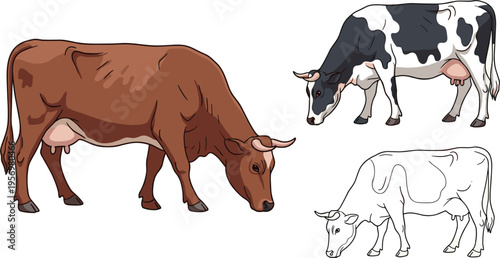 cow illustration set, dairy cattle collection, farm animal vector, realistic and outline cows, livestock design, rural agriculture concept, grazing cows, editable clipart, countryside farming