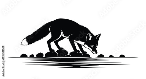 A black and white illustration depicts a fox cautiously approaching water
