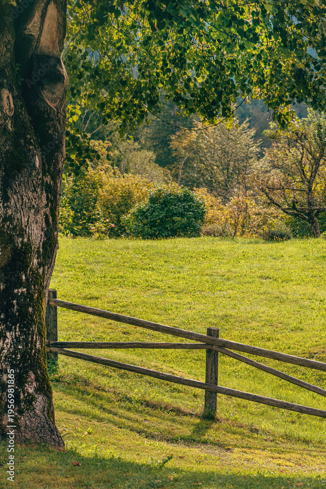 Fototapeta premium Traditional timber-clad farm barrier in Bohinj valley, Slovenia, with alpine farmland and countryside landscape in background.