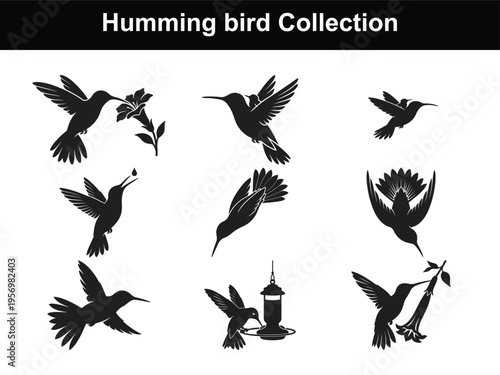 Hummingbird in Flight Silhouette Collection, Tiny Bird Nectar Feeder Vector Art, Delicate Pollinator Wildlife Graphics, Garden Jewel Black Silhouettes