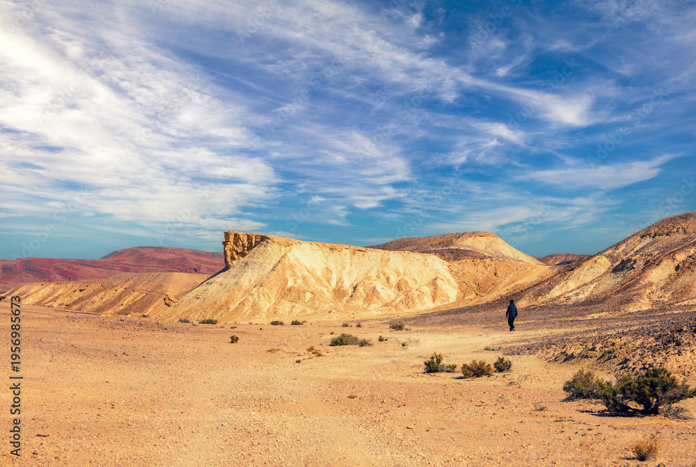 Ταπετσαρία Desert landscape. Israel. A man is walking in the desert