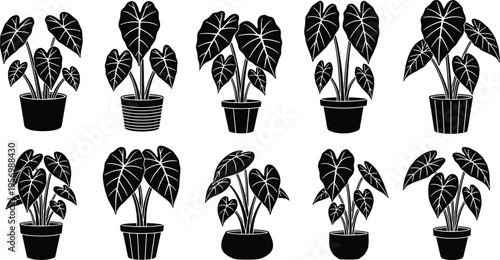 Indoor Plant Silhouette Collection with Decorative Potted Tropical Leaves, Botanical Houseplants Set for Home Interior Design, Gardening, and Natural Decor Illustrations