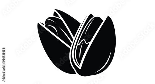 A striking black silhouette of a cracked pecan nut displaying its kernel silhouette