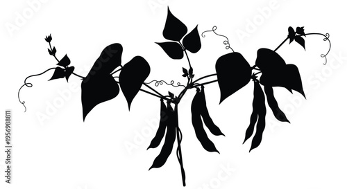 Black silhouette of pea pods and leaves with decorative floral elements silhouette