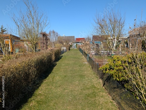 Schöner Pfad durch eine Gartensiedlung unter blauem Himmel