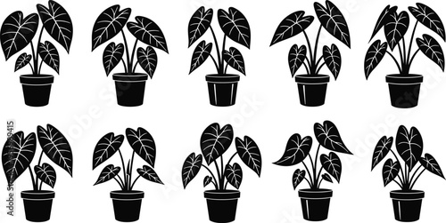Tropical Houseplant Silhouette Icon Set with Potted Leafy Plants, Indoor Botanical Collection for Home Decor, Gardening Design, and Natural Greenery Illustrations