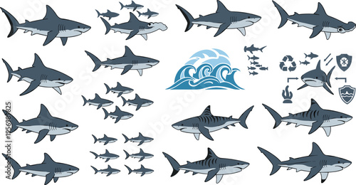 Shark Vector Illustration Set Featuring Different Species Poses and Ocean Elements Including Waves Fish and Marine Icons in Flat Style for Wildlife Aquarium and Educational Design Projects