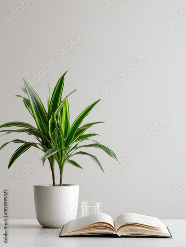 Minimal Plant and Book Composition on a Clean Background Captured With an 85mm Lens at F2.2 During Daylight Hours