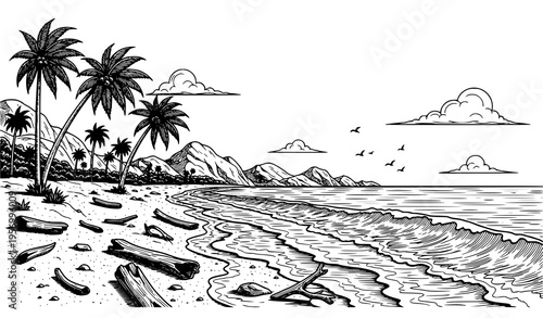 Minimalist black and white sea coast beach vector illustration with waves, cliffs, and birds