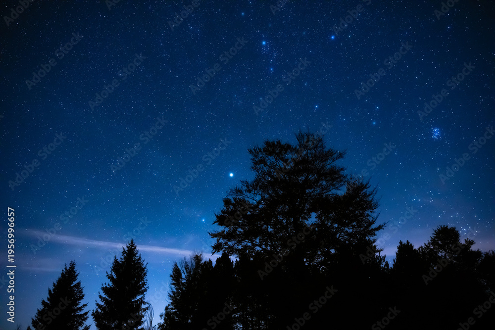 Fototapeta premium Milky Way stars with countryside tree and landscape silhouettes.