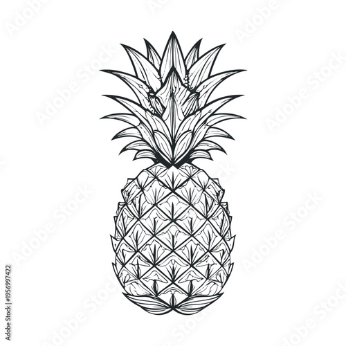 Pineapple illustration featuring intricate line art details captures the essence of tropical fruit in a stylized and decorative artistic drawing.