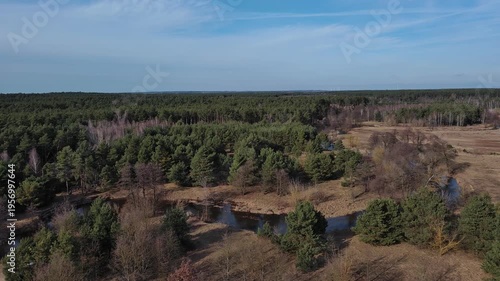 Early spring on a small river, Poland.