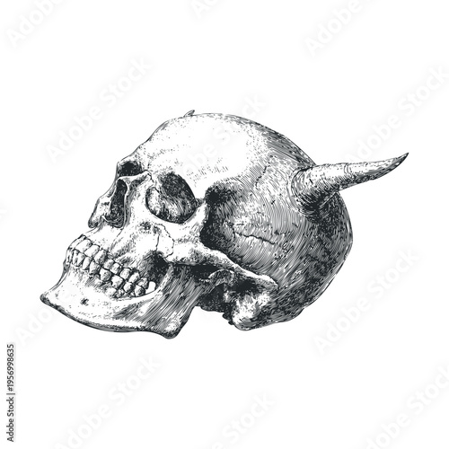 Macabre skull with a sharp horn protruding from its cranium, meticulously rendered in a detailed, vintage engraving style with intricate cross-hatching.