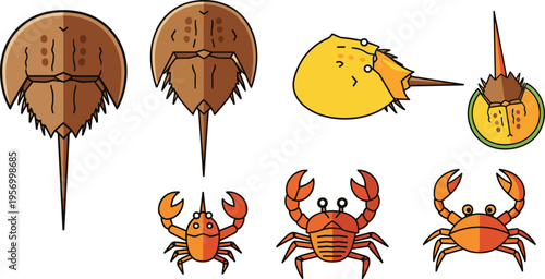 Crab and Horseshoe Crab Cartoon Collection Set with Marine Sea Creatures Coastal Wildlife Animals Vector Illustration Isolated on White Background for Nature Design
