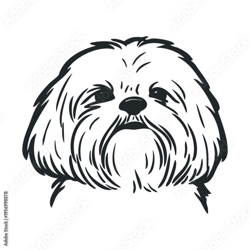 Shih Tzu dog head illustration features a cute fluffy face with expressive eyes and long flowing fur in a simple black and white line art style.