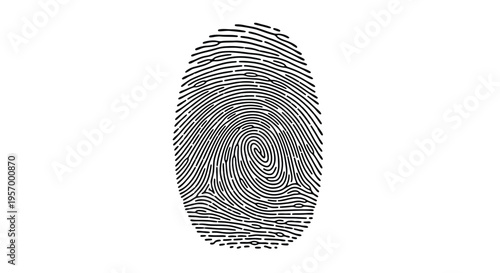 Detailed fingerprint image with swirling ridges a striking black silhouette