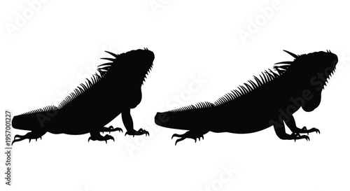 Two black iguanas in profile a striking animal silhouette