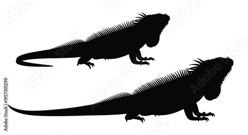Two black iguana silhouettes in dynamic poses a striking visual silhouette