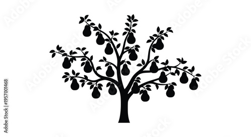 A striking black silhouette of a pear tree with abundant fruit silhouette