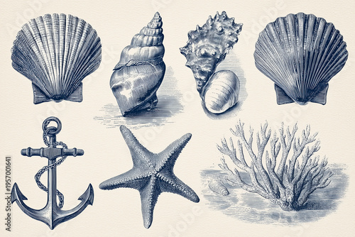 Vintage Scientific Seashell and Ocean Illustration Set Engraving Style Blue Monochrome Isolated 