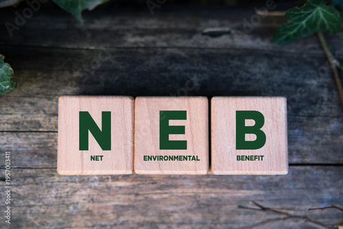 Quadro em tela NEB Net Environmental Benefit acronym on wooden blocks