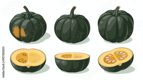 Green pumpkin varieties with different cuts and views on a white background