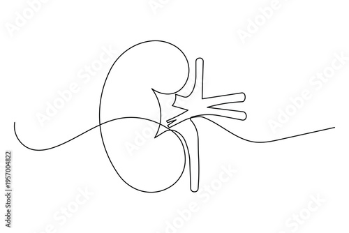 Professional kidney line illustration for pharmacy and medicine branding identity