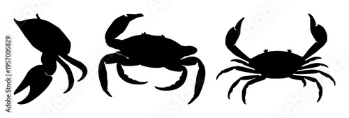 Crab claw silhouette set with stylized geometric shapes featuring crab, crustacean, marine life with black line art and graphic resources