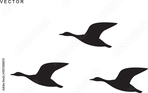 Canadian goose bird flying silhouette vector illustration on a white background