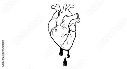 Anatomical heart illustration with dripping details a striking silhouette