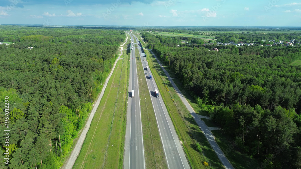 Naklejka premium Fall landscape with forest and asphalt road