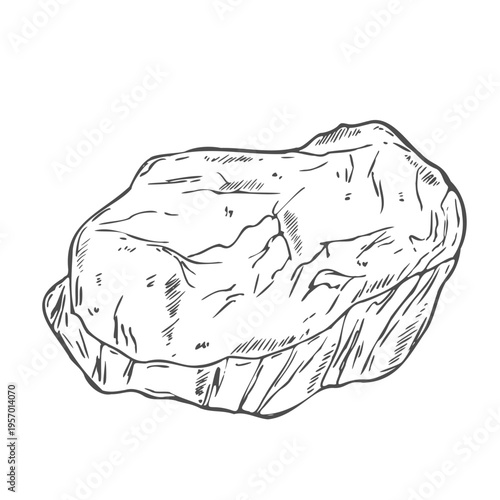 Hand drawn Ribeye Steak Sketch illustration