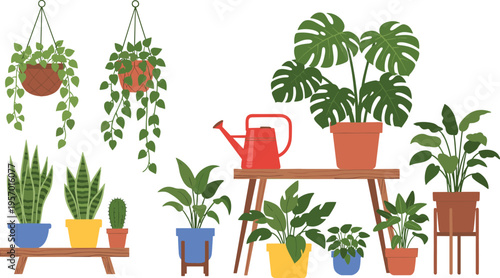 Indoor houseplants collection with potted plants hanging greenery and watering can home decor vector illustration set