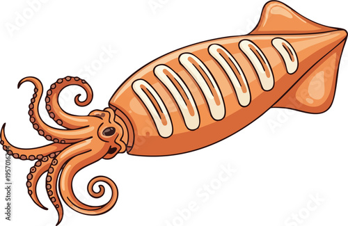 Illustration of a cooked squid with grill marks.