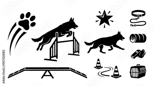 Dog agility training with obstacles and accessories illustration