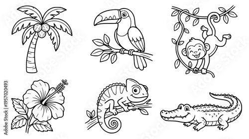 Tropical animals and plants in a vector illustration set