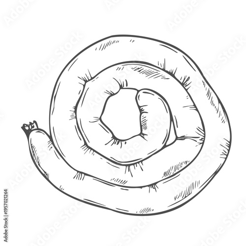 Doodle sausage sketch, hand drawn illustration