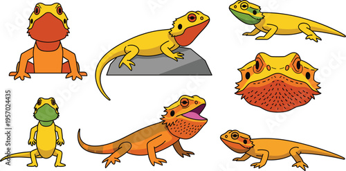 Bearded Dragon Lizard Character Set with Different Poses Standing Crawling Rock Sitting and Head View Flat Cartoon Vector Illustration Collection