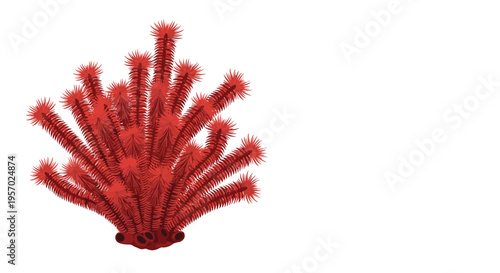 Vibrant red tube coral formation, a striking marine invertebrate displaying numerous polyp colonies, thriving in its underwater environment.