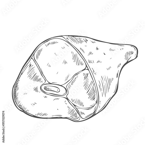 Black and White Ham Meat With Hand Drawn or Sketch Style