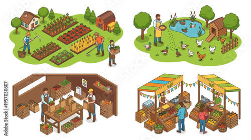 Isometric Farm Illustration Harvest Crops Livestock Feeding and Market Scene