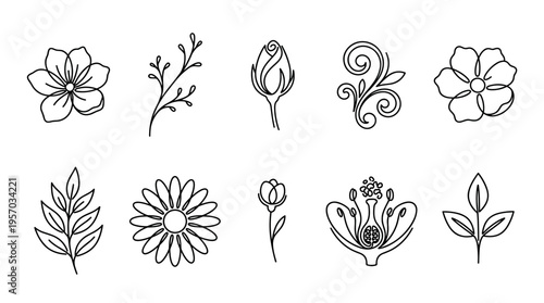 Botanical line art elements collection features various flowers, leaves, buds, and abstract floral designs, perfect for minimalist and elegant design projects.
