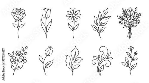 Continuous line flowers and leaves vector illustration set featuring various floral elements for elegant design projects and decorative purposes.