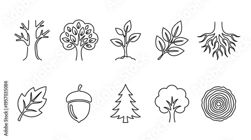 Tree icons set featuring various stages of growth and elements like roots, leaves, and an acorn, rendered in a simple continuous line art style.