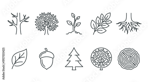 Tree icons set representing various stages of growth and elements of the forest, perfect for environmental and ecological design projects.